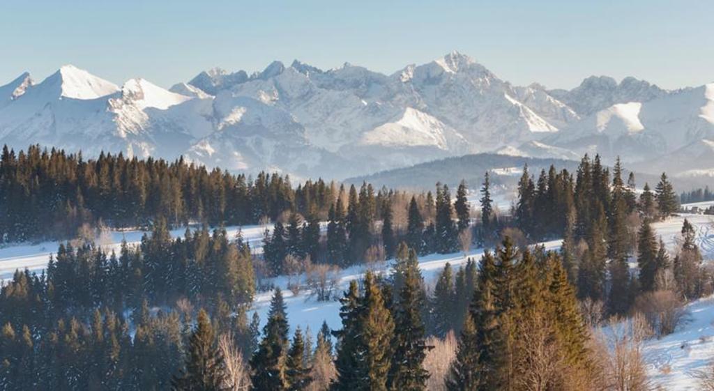 Malgosia Regionalna - 10 Minut Na Piechote Do Stoku Narciarskiego I Term Bania - Posilki Serwowane W Budynku Obok Białka Tatrzańska Exterior foto